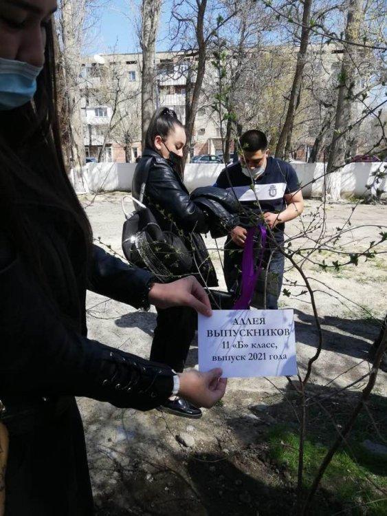 “Бұл менің ағашым “